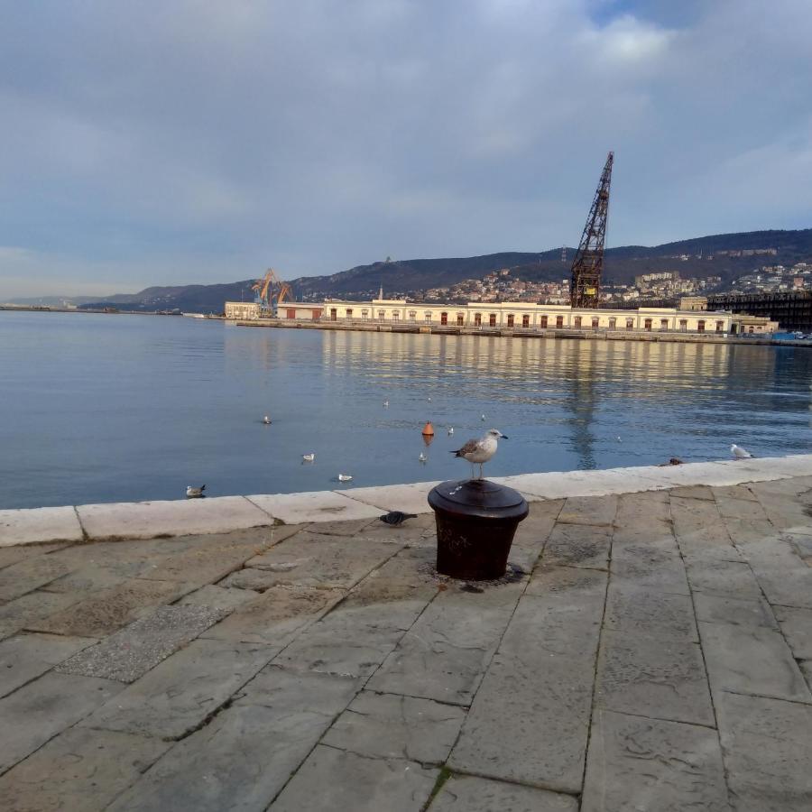 Casa Antica - Historical Apartment In Old City Center Trieste Dış mekan fotoğraf